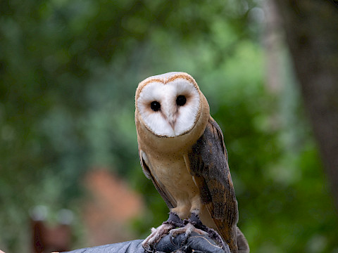 Tierpark Westküstenpark Schleswig-Holstein