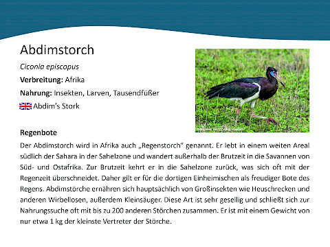 Tierpark Westküstenpark Schleswig-Holstein