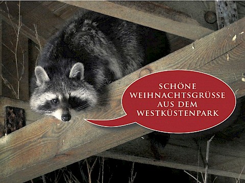 Tierpark Westküstenpark am 21.12.2019: Frohe Weihnachten!