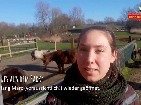 Tierpark Westküstenpark am 17.02.2022: Ein kleines News Video von Annika!