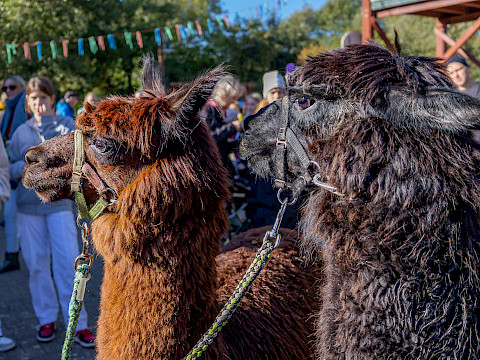 Tierpark Westküstenpark Schleswig-Holstein
