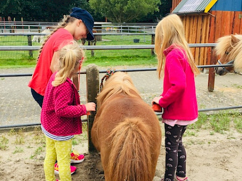 Tierpark Westküstenpark am 22.07.2022: Ebenfalls neu: Ponys hautnah!