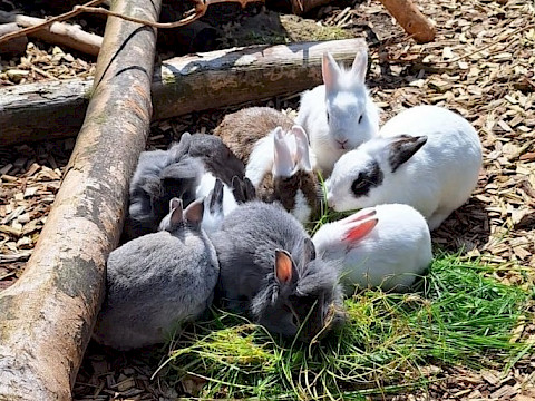 Tierpark Westküstenpark Schleswig-Holstein