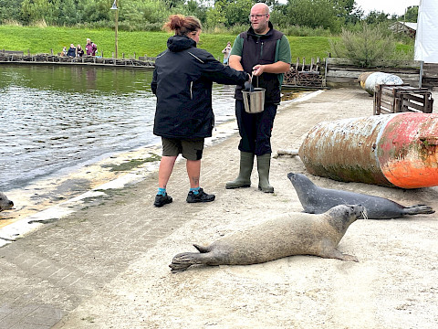 Tierpark Westküstenpark am 03.08.2025: Rückblick auf unseren Seehund-Tag!