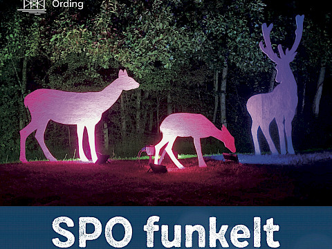Tierpark Westküstenpark am 19.08.2025: 28. August | SPO funkelt – Lichterträume im Tierpark | Einlass 19.30 Uhr