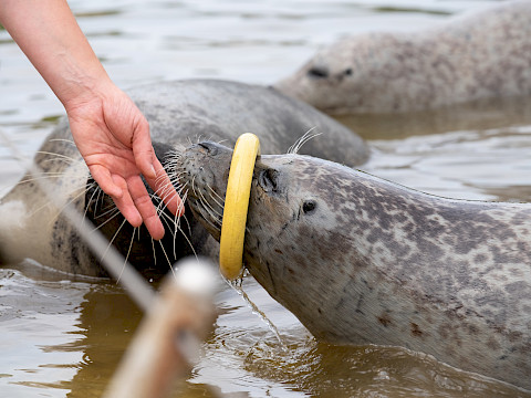 Tierpark Westküstenpark am 03.12.2025: Ein stiller Abschied in der Vorweihnachtszeit