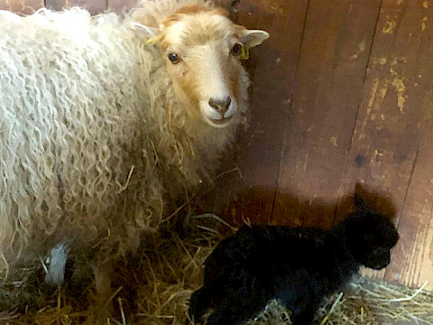 Tierpark Westküstenpark Schleswig-Holstein