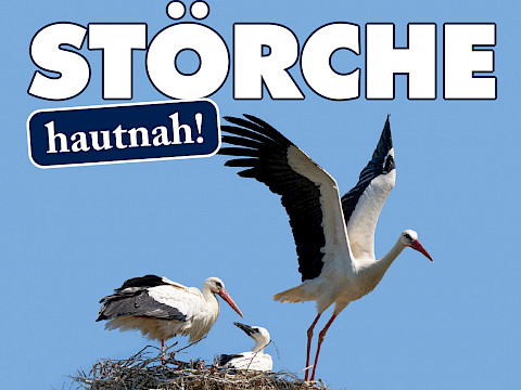 Tierpark Westküstenpark am 29.05.2026: 07. Juni 2026 | „Tag der Störche”