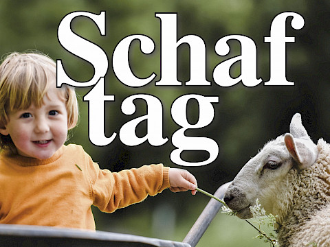 Tierpark Westküstenpark am 13.06.2026: 21. Juni | traditioneller Schaftag im WKP