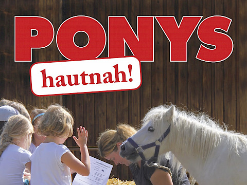Tierpark Westküstenpark am 19.07.2026: 26. Juli | Ponys hautnah